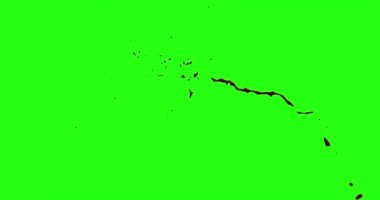 Kan patlama ile hareket bulanıklığı