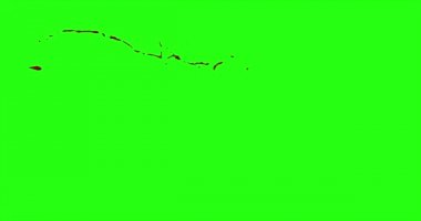 Kan patlama ile hareket bulanıklığı