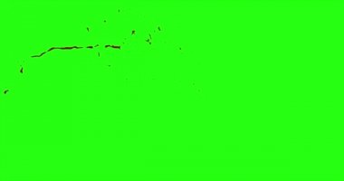 Kan patlama ile hareket bulanıklığı