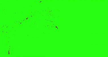 Kan patlama ile hareket bulanıklığı