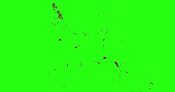 Le sang éclate de flou. 