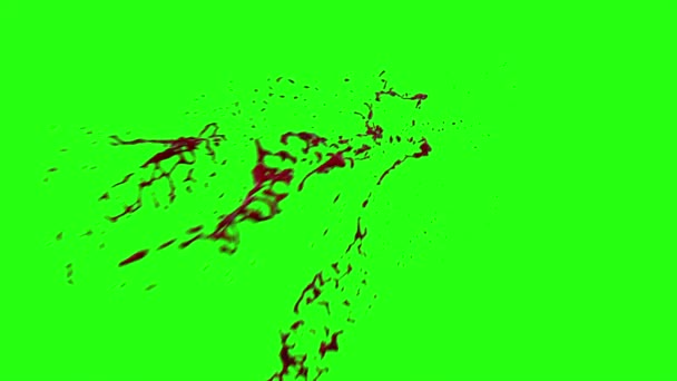 血与运动模糊的爆裂 — 图库视频影像