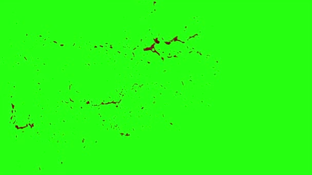 Le sang éclate de flou. 