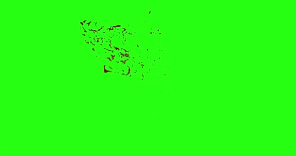 Le sang éclate de flou. 