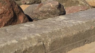 Deniz taşları ve Plajı'nda tekne