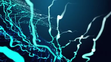 Moving Through Spider web