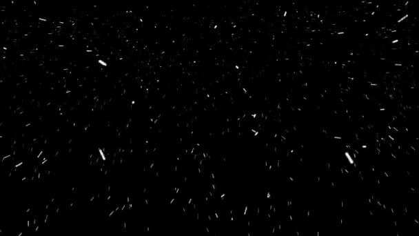 Realistische licht sneeuwstorm — Stockvideo