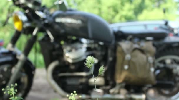 Scrambler motorcykel på naturen — Stockvideo