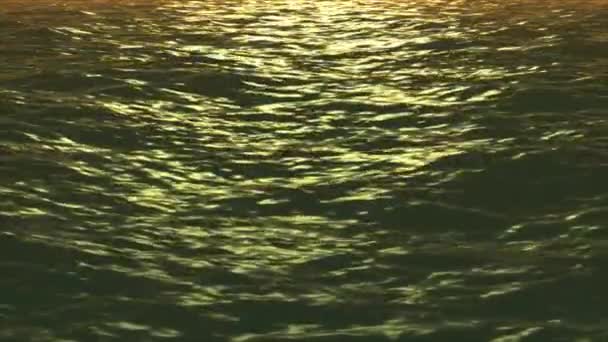 일몰에 대 한 파도 — 비디오