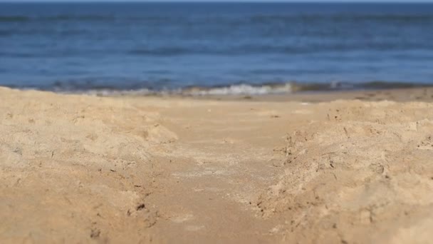 Sandtunnel und Meer — Stockvideo