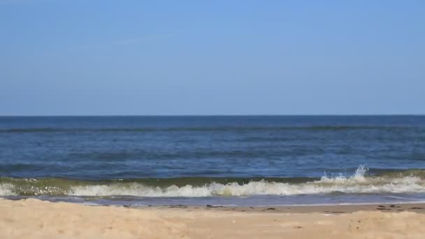Розмита сцена пляжу і моря — стокове відео