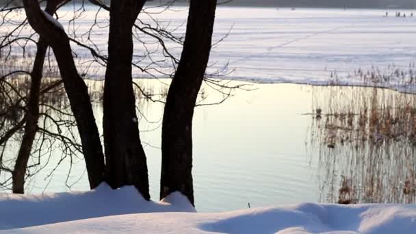 Lago con pescatori e cigni — Video Stock