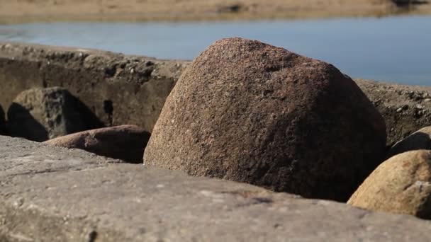 Muralla de hormigón y piedras de mar — Vídeo de stock