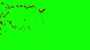 Kan ağır çekimde patladı.