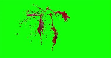 Kan ağır çekimde patladı.