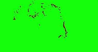 Kan ağır çekimde patladı.