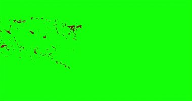 Kan ağır çekimde patladı.