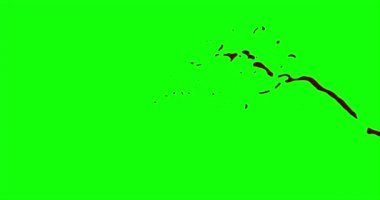 Kan ağır çekimde patladı.