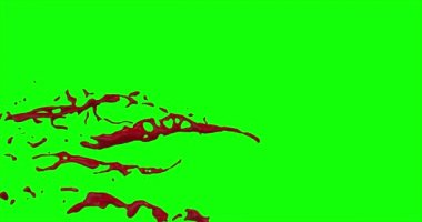 Kan ağır çekimde patladı.