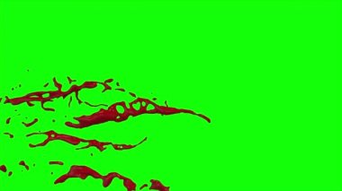 Kan ağır çekimde patladı.