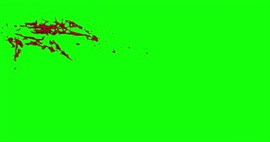 Kan ağır çekimde patladı.