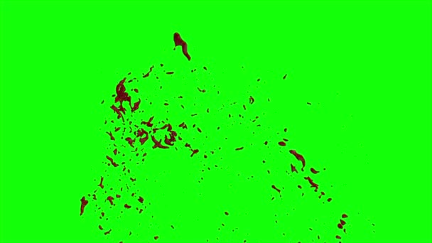 Le sang éclate au ralenti