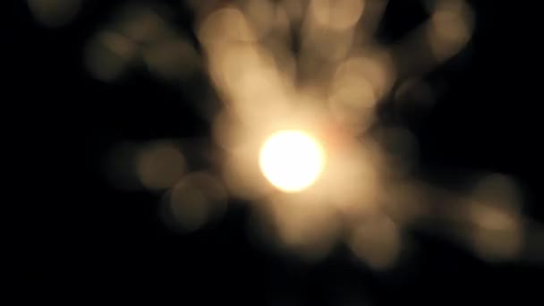 벵골 빛 향을 굽기 — 비디오