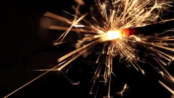 Burning Bengal Lights Sparkler — Stock Video