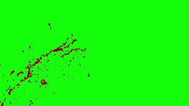 Explosão de sangue em câmara lenta — Vídeo de Stock