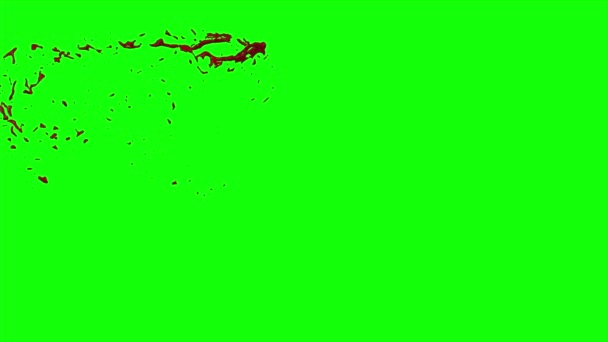 Le sang éclate au ralenti