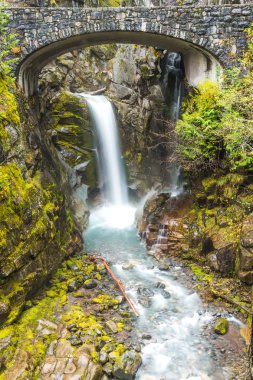 Cristian sonbahar sahne Sonbahar zaman mt. Rainier Milli Parkı