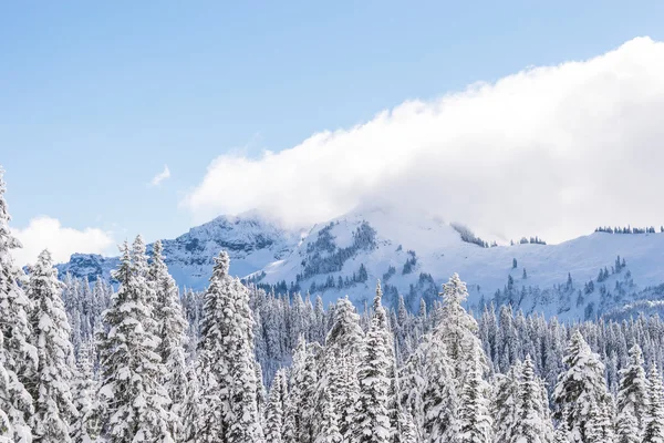 Mt Rainier, Washington, ABD çevresinde kar ile kaplı dağın doğal görünümü. — Stok fotoğraf