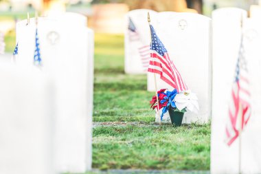 National Cemetery with a flag on Memorial day in Washington,Usa. clipart
