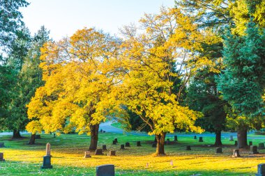 sonbahar Üçler mezarlığında.