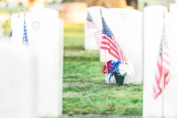 National Cemetery med en flagga på Memorial day i Washington, Usa. — Stockfoto