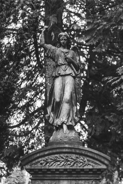 Tumbas y tumbas en el paisaje del cementerio, blanco y negro . — Foto de Stock