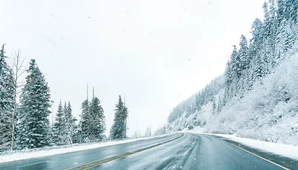 Kış mevsiminde karla kaplı boş bir yol.. — Stok fotoğraf