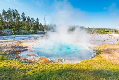 Renk manzarası sabahları tam gayzerler, Yellowstone Ulusal Parkı, ABD..