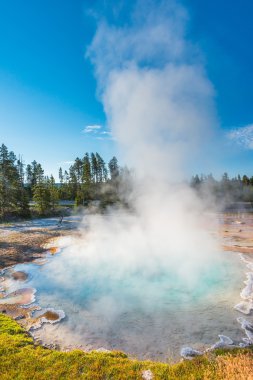 Renk manzarası sabahları tam gayzerler, Yellowstone Ulusal Parkı, ABD..