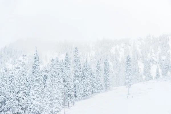 Vacker Utsikt Över Små Människor Promenader Snö Berg — Stockfoto
