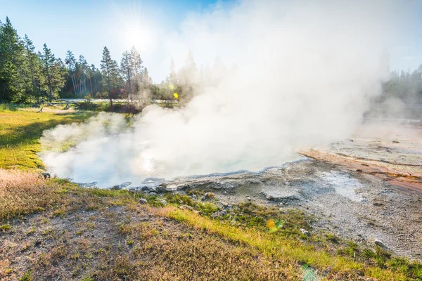 Naturskön Utsikt Över Färg Full Geysers Morgonen Yellowstone National Park — Stockfoto