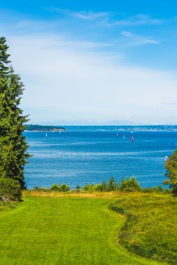 büyük çim alan yüksek ağaçlar ve yaz aylarında deniz ve mavi gökyüzü arka plan..