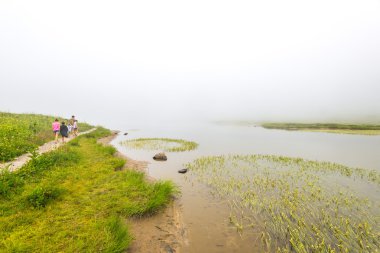 Ormanın manzaralı manzarası, çayırlık ve göl, gün içinde sisli...