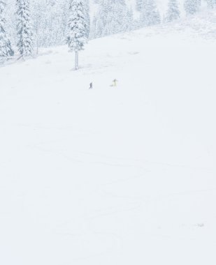 Kar dağlarında yürüyen küçük insanların manzarası..