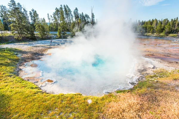 Scenic View Color Full Geysers Morning Yellowstone National Park Usa — Stock Photo, Image