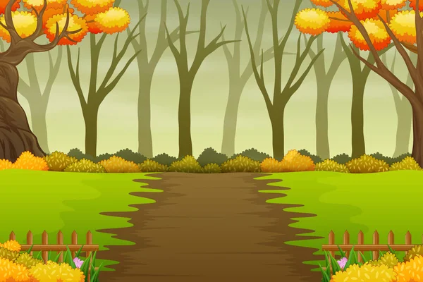 Paisagem Caminho Floresta Outono Com Árvores Nuas Amarelas —  Vetores de Stock