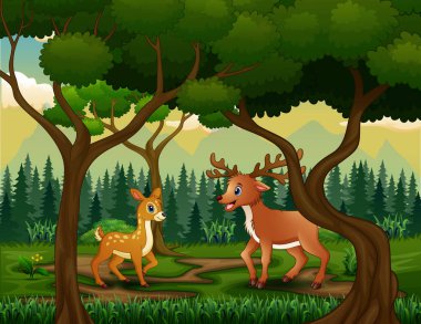 Ormanda yaşayan vahşi ren geyikleri.