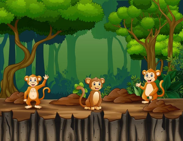 Glückliche Drei Von Affen Leben Dschungel — Stockvektor