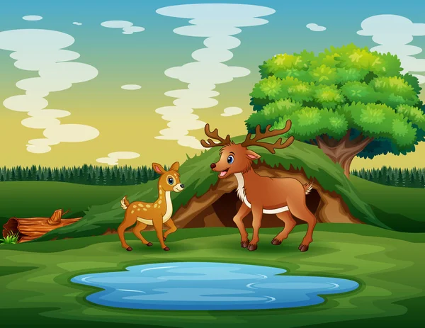 Cartoon Mother Deer Her Cub Playing Pond — Stock Vector