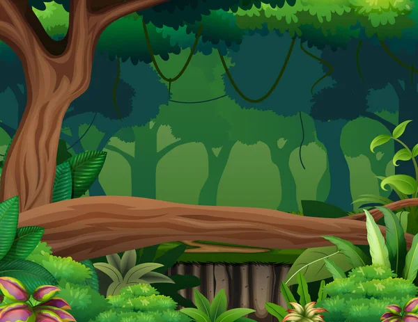 木々の風景イラストと暗い熱帯雨林 — ストックベクタ